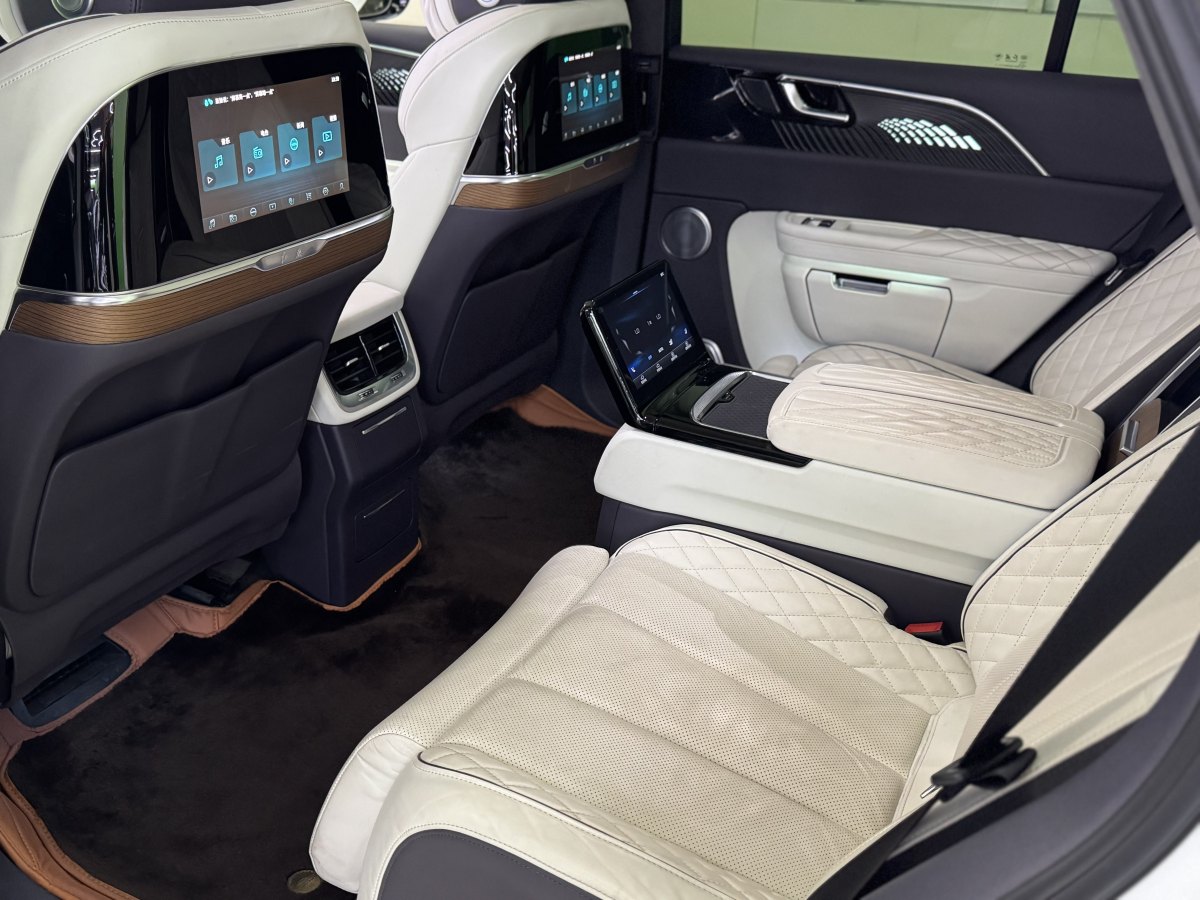 HongQi E-HS9 2021 immagine di auto #6