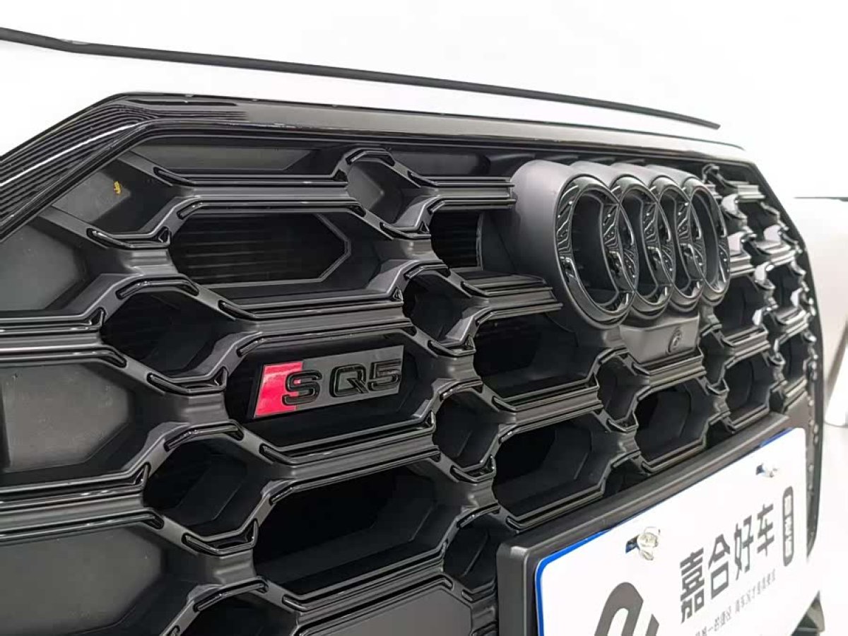 Audi SQ5 2023 imagen de coche #6