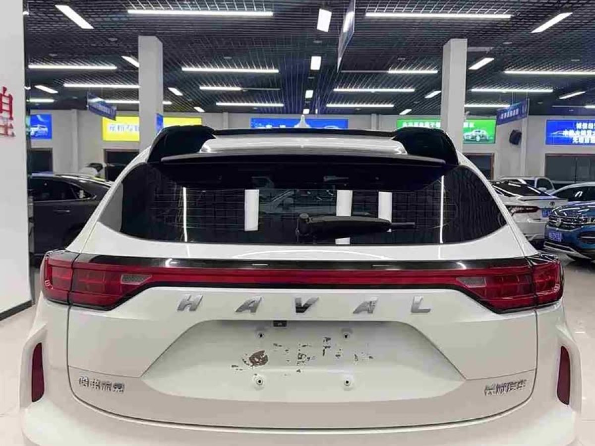 Haval Rabbit 2021 imagem de carro #6