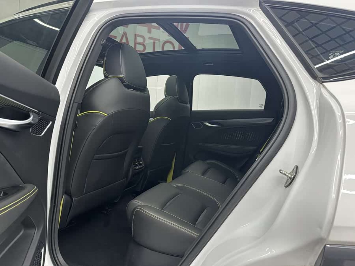 GEELY Tugella S 2021 car image #6