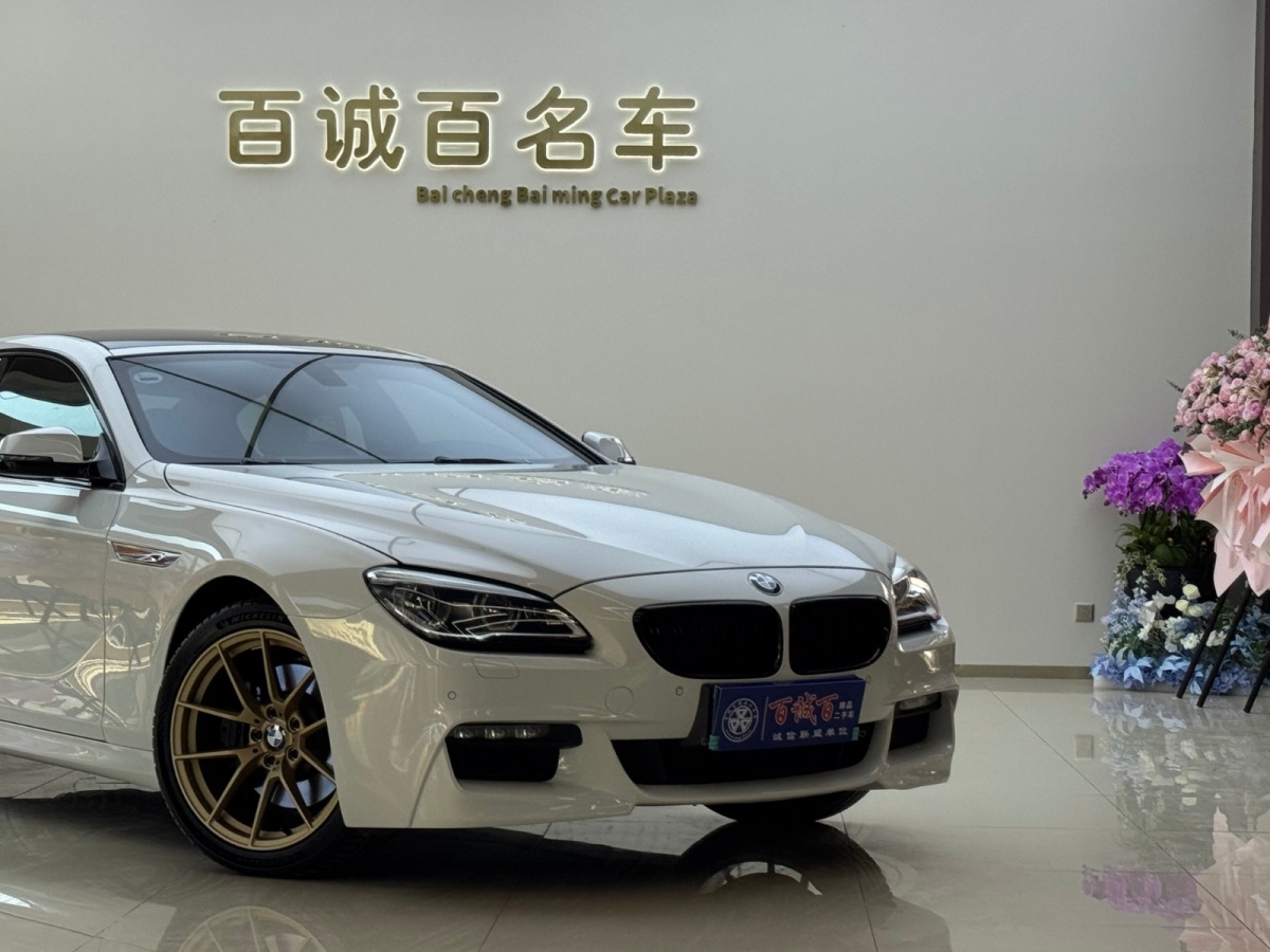 BMW 6 Series 2016 car image #6