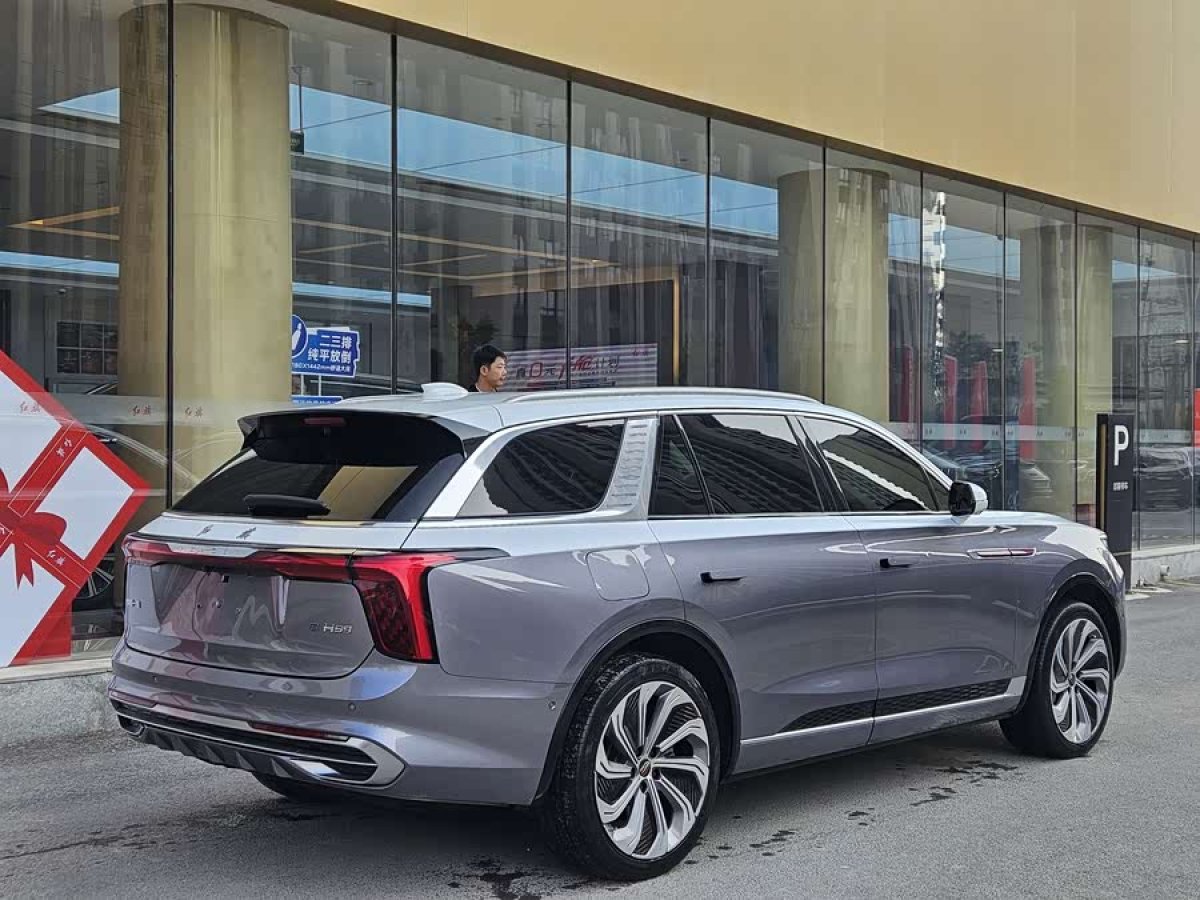 HongQi E-HS9 2021 car image #6
