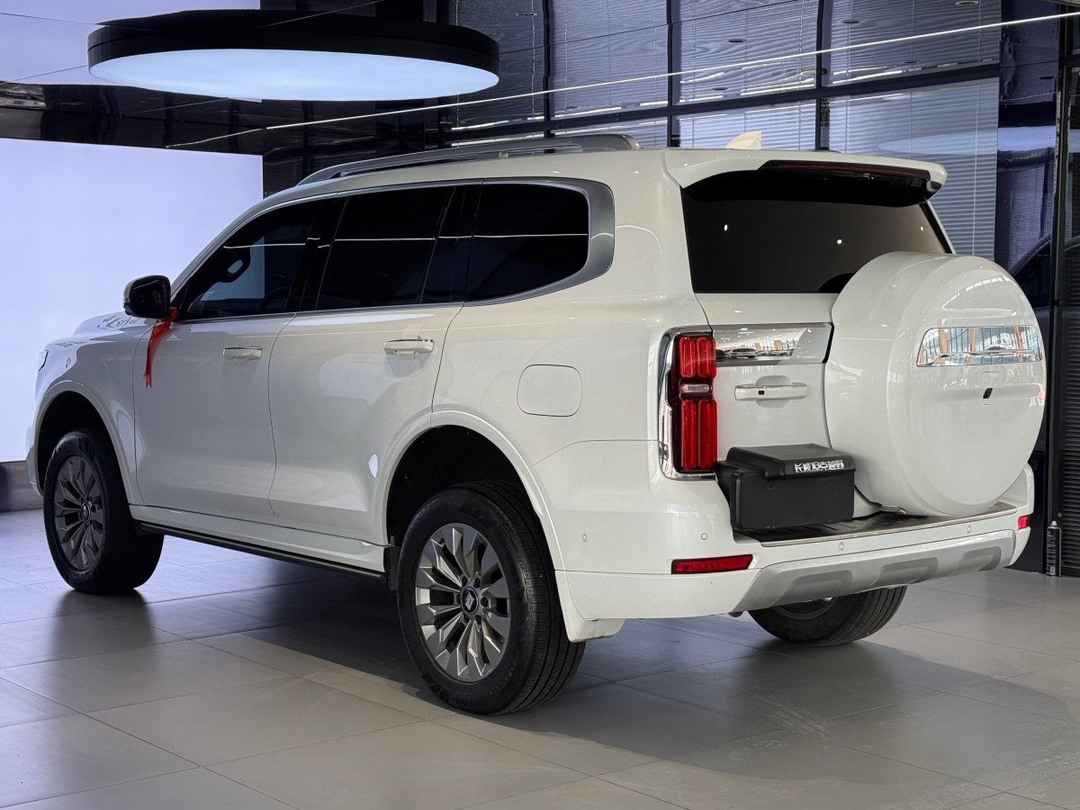 Tank 500 2024 imagen de coche #6