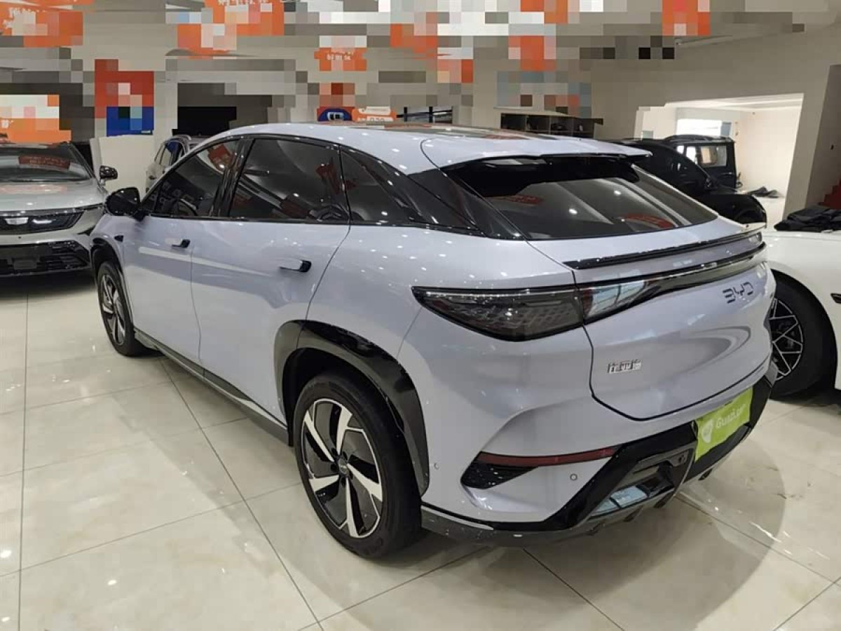 BYD Sea Lion 07 EV 2024 car image #6