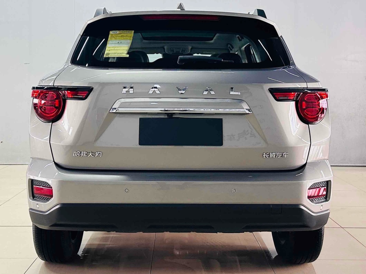 Haval Dargo 2 2024 car image #6