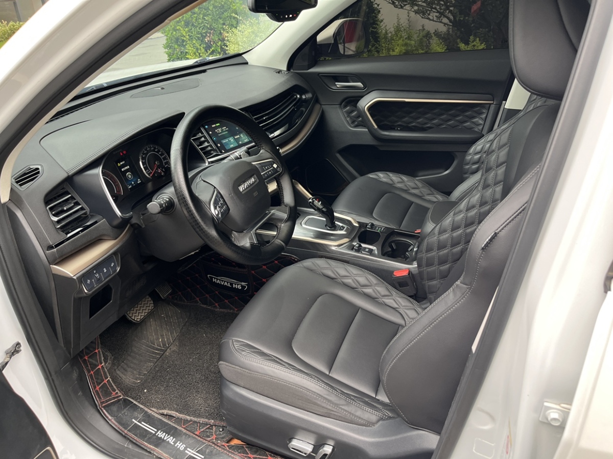 Haval H6 2019 immagine di auto #6