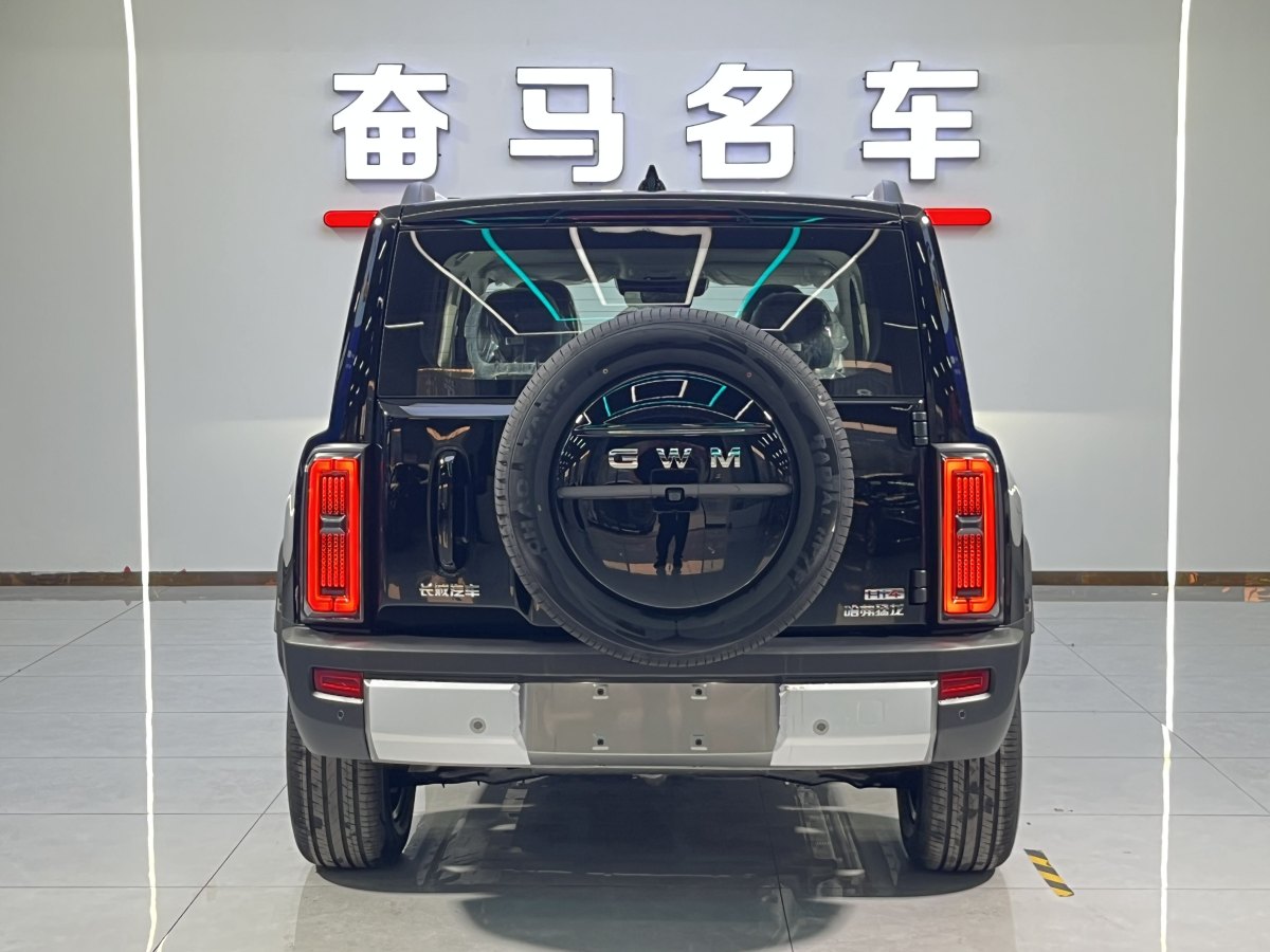 Haval Raptor 2025 car image #6