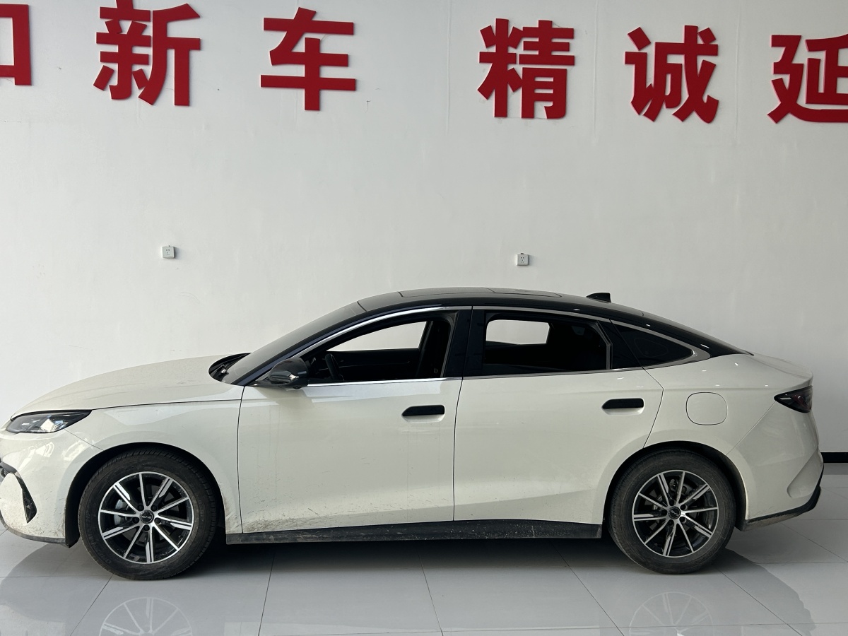 BYD Seal 06 DM-i 2024 car image #6