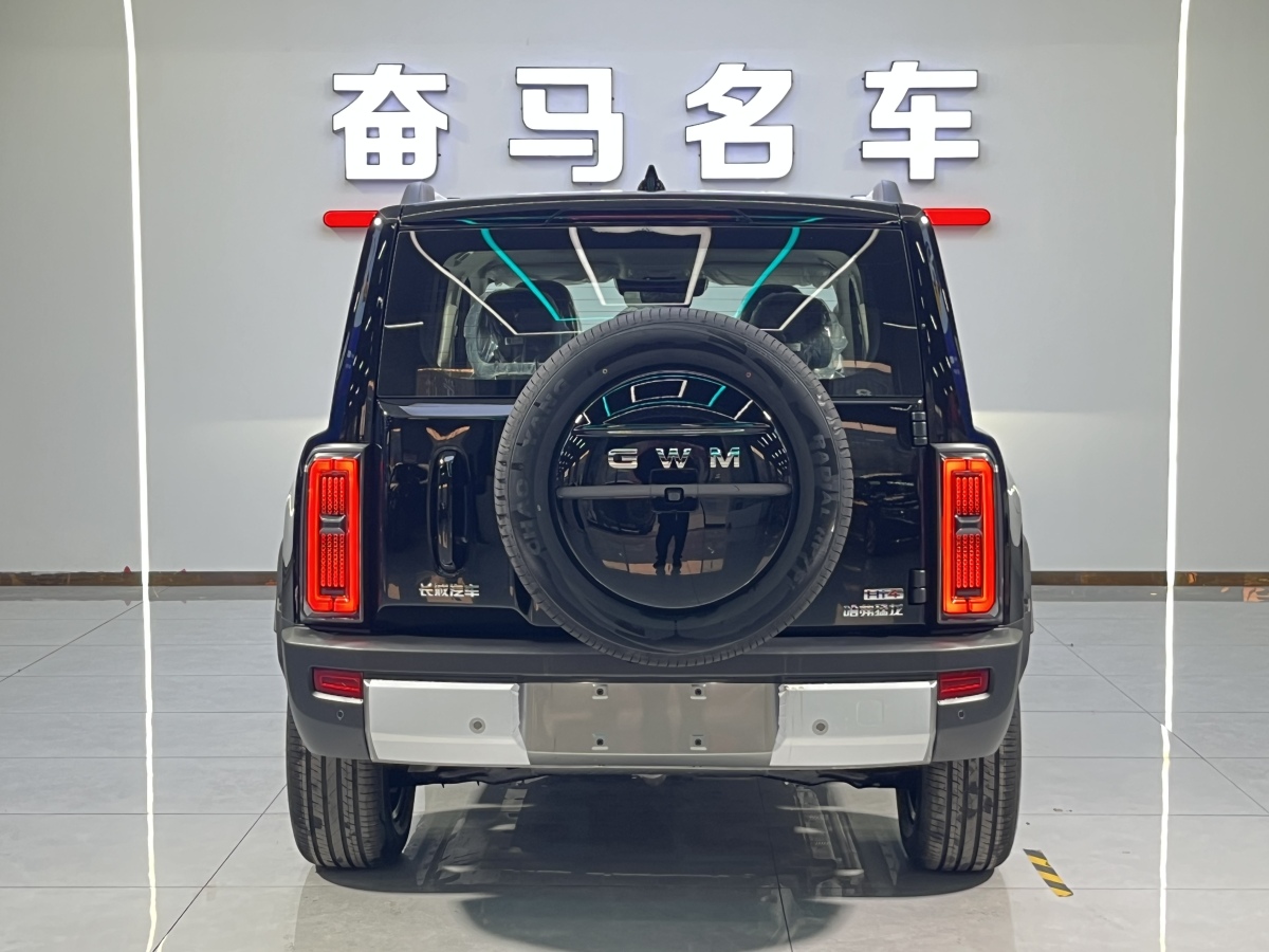 Haval Raptor 2025 car image #6