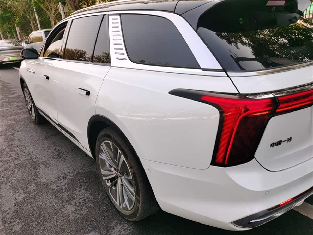 HongQi E-HS9 2023 car image #6