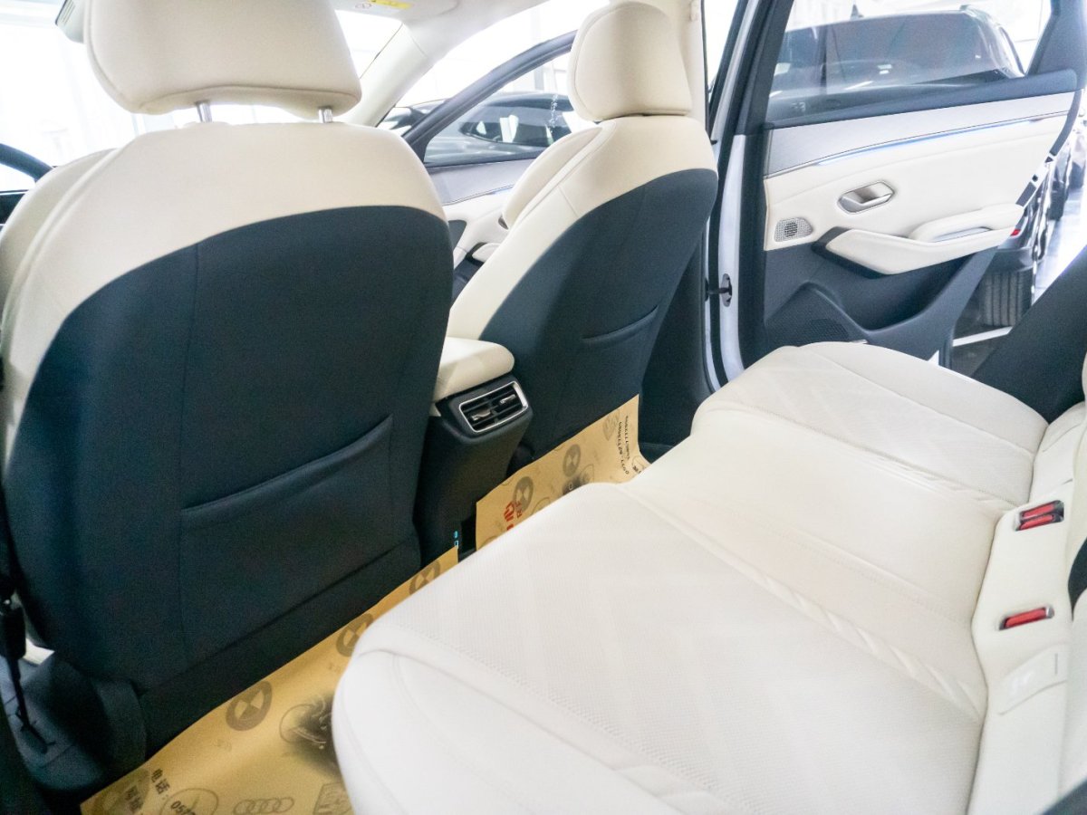 BYD M9 2024 car image #6