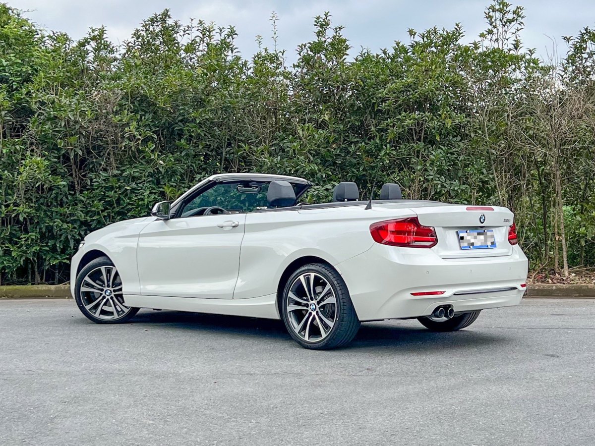 BMW 2 Series 2019 car image #6