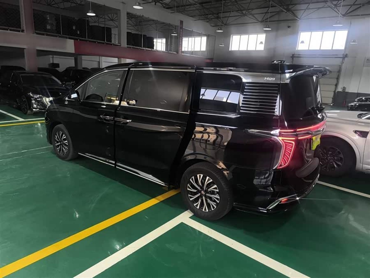 HongQi HQ9 PHEV 2024 car image #6