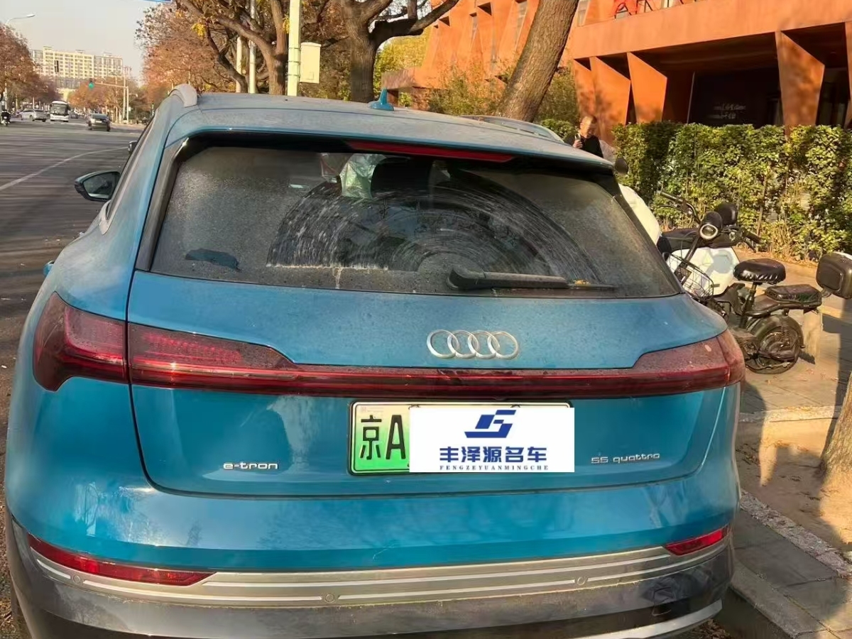 Audi e-tron (Imported) 2021 car image #6