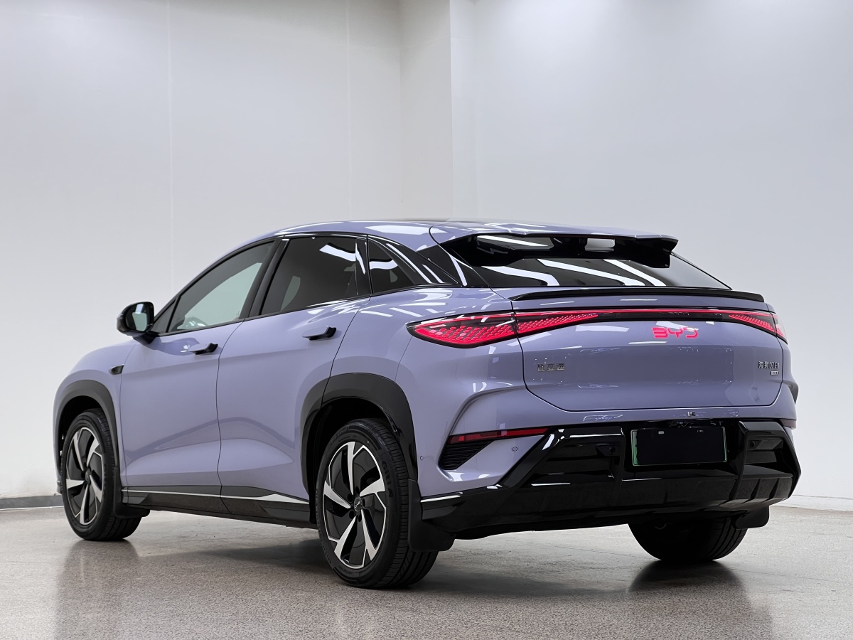 BYD Sea Lion 07 EV 2025 car image #6