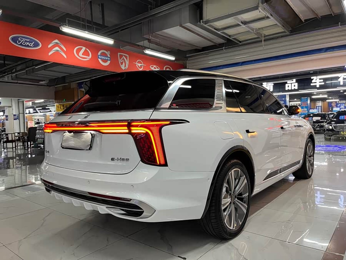 HongQi E-HS9 2021 #6 HongQi E-HS9 2021 immagine di auto #6