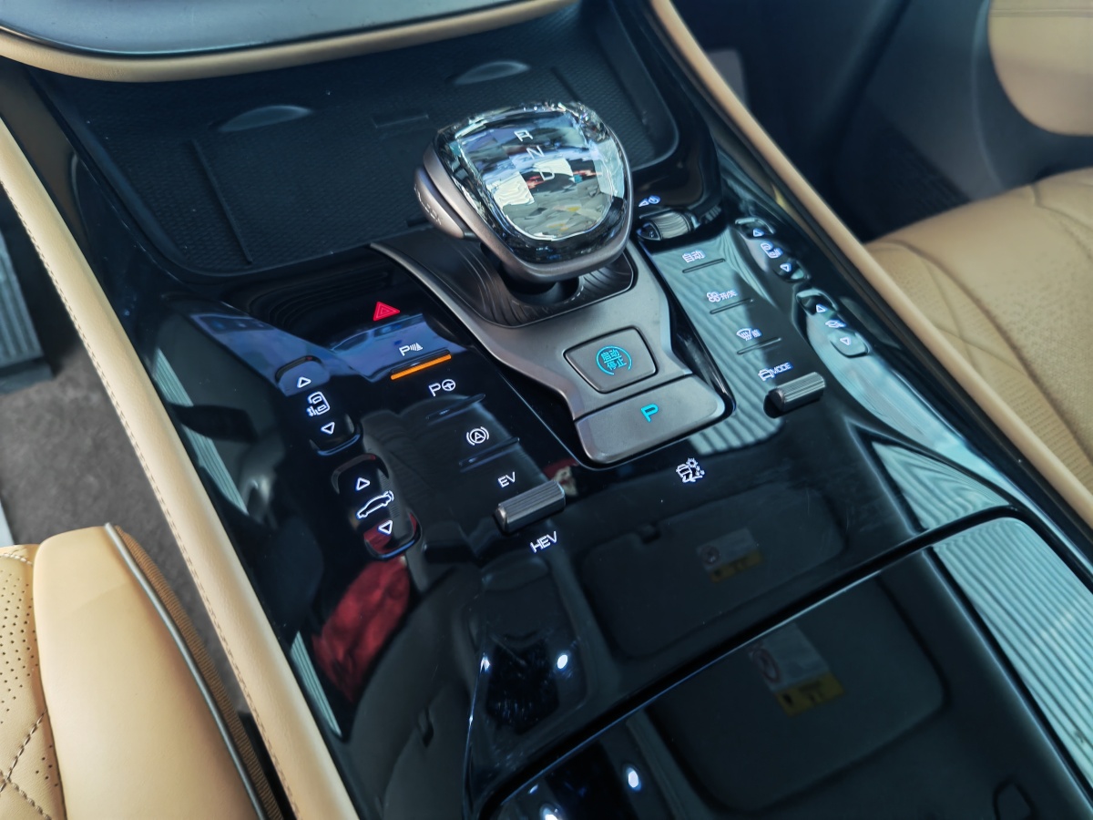 Denza N8L 2022 image de voiture #6