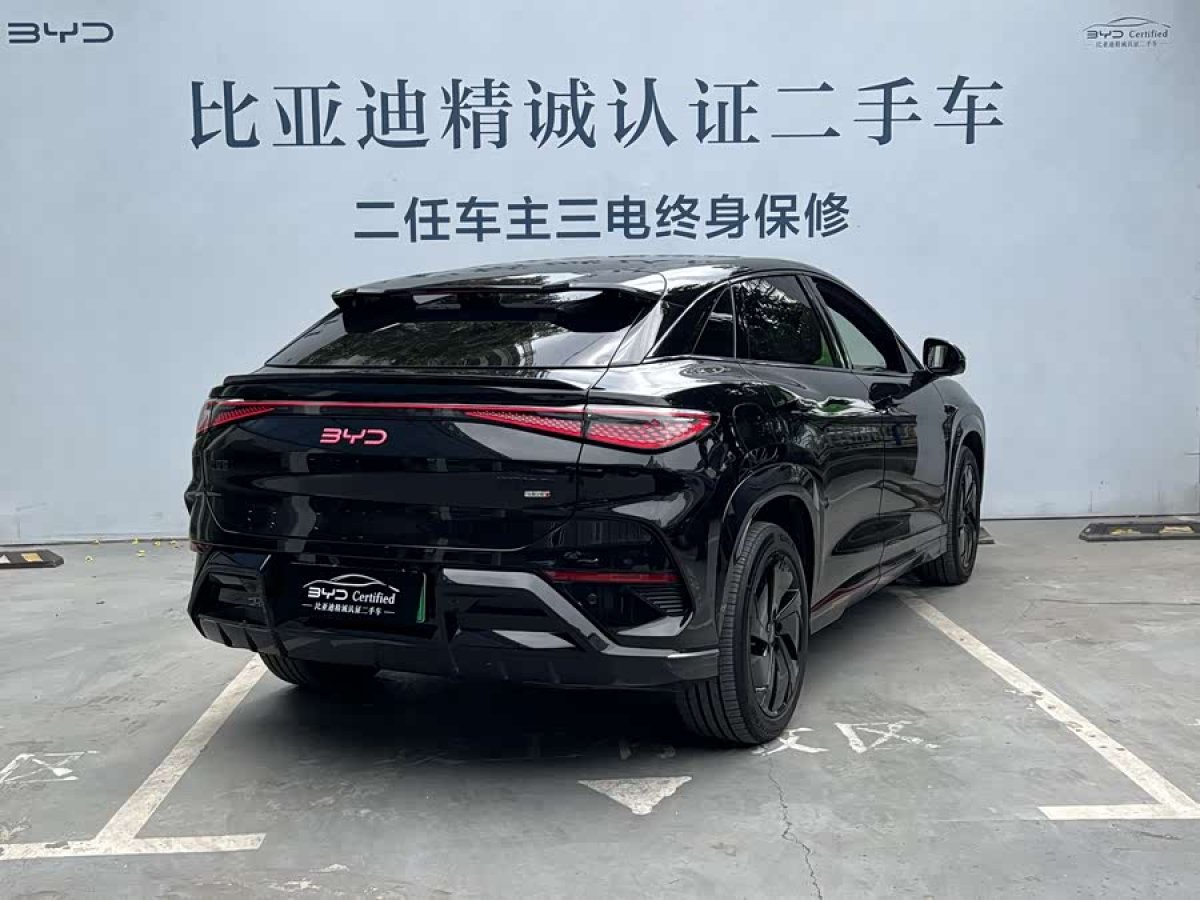 BYD Sea Lion 07 EV 2025 car image #6