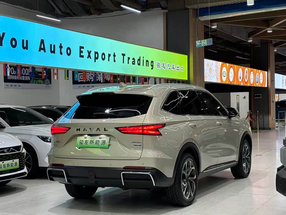 Haval Fierce Dragon MAX 2023 immagine di auto #6