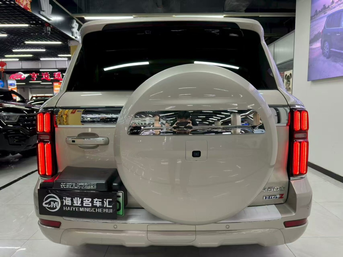 Tank 500 New Energy 2024 car image #6