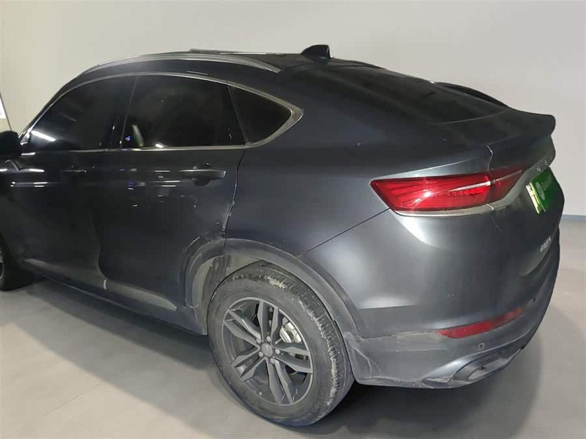 GEELY Tugella New Energy 2020 car image #6