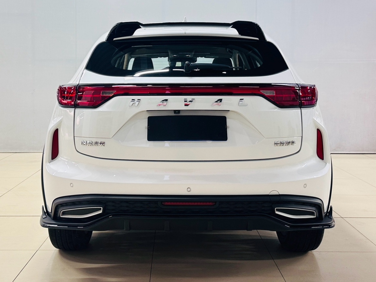 Haval Rabbit 2024 صورة سيارة #6