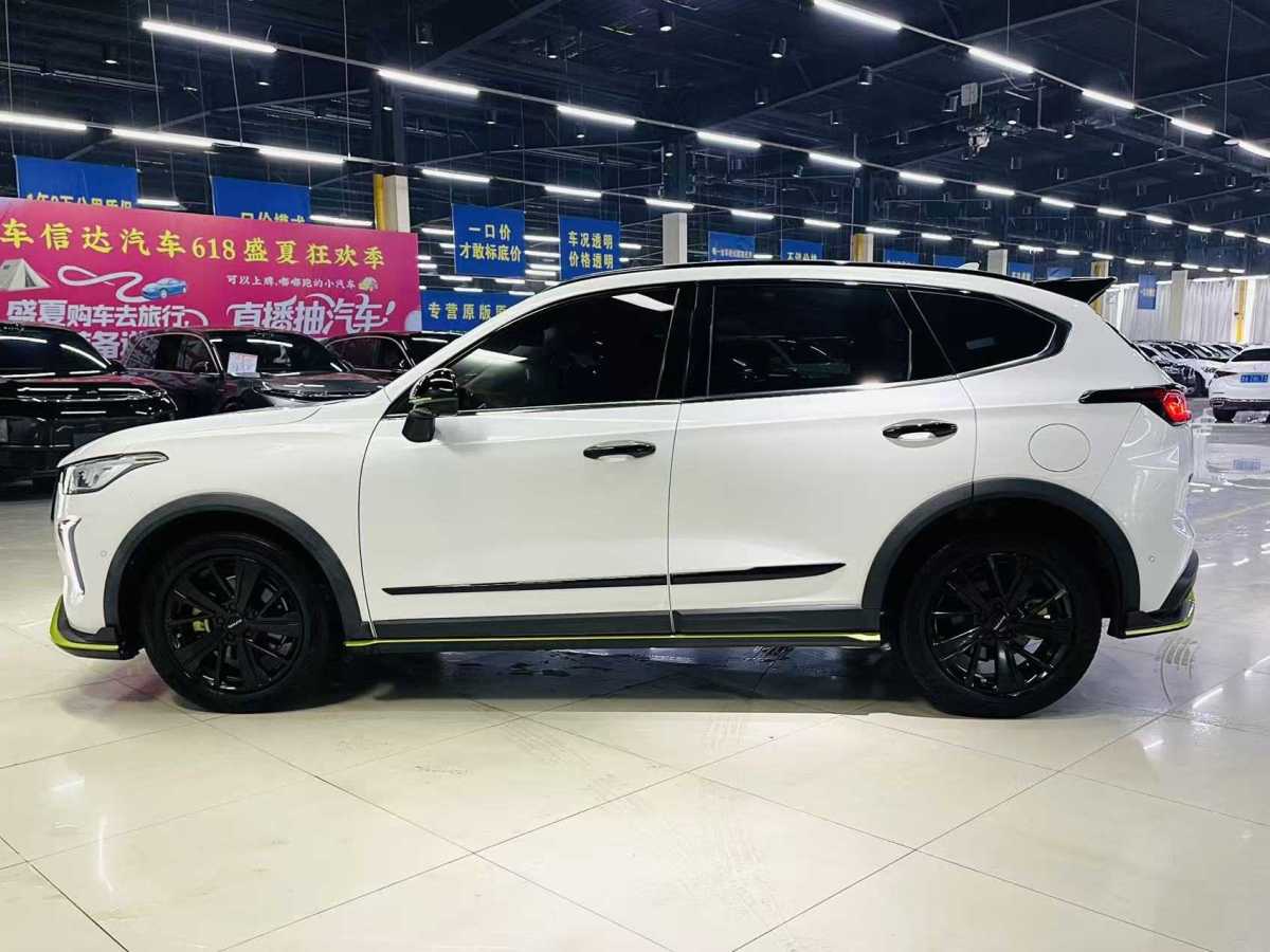 Haval Rabbit 2021 imagen de coche #6