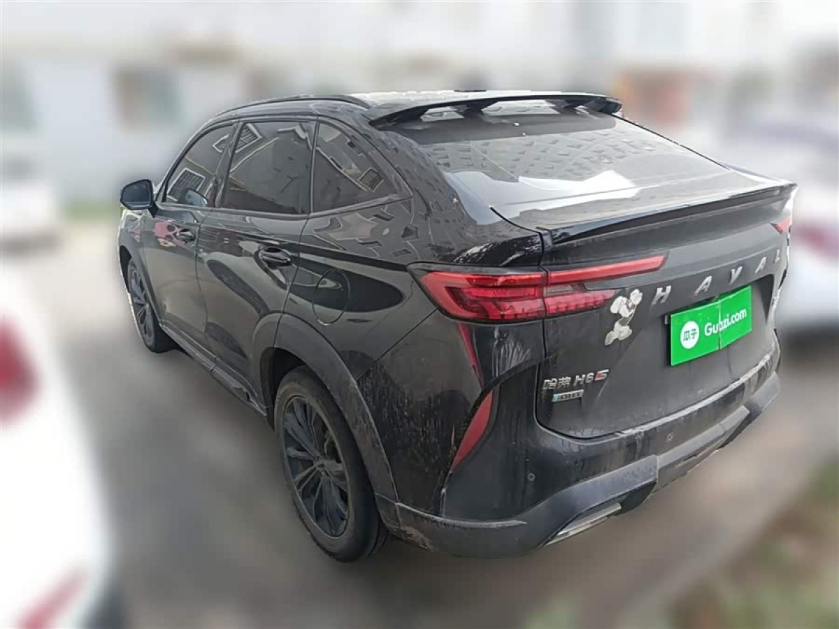 Haval H6S 2022 car image #6