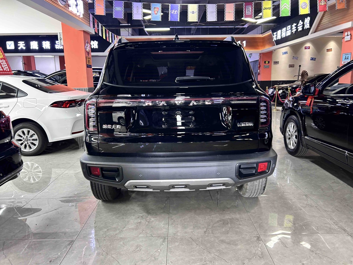 Haval X Dog / Dargo 2024 car image #6