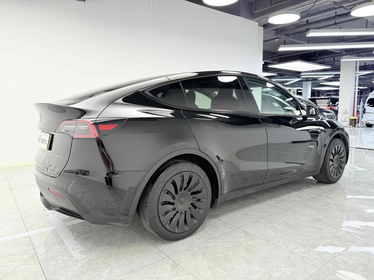 Tesla Model Y 2023 car image #6