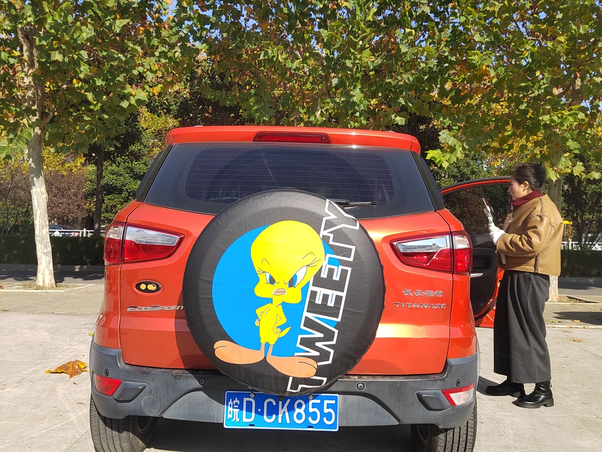 Ford EcoSport 2013 car image #6