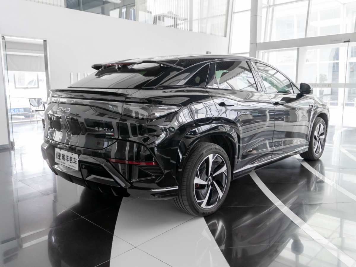 BYD Sea Lion 07 EV 2025 car image #6