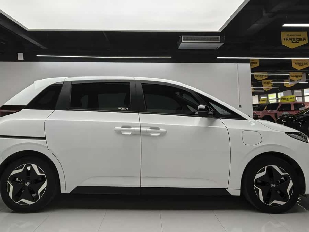 BYD D1 2023 car image #6