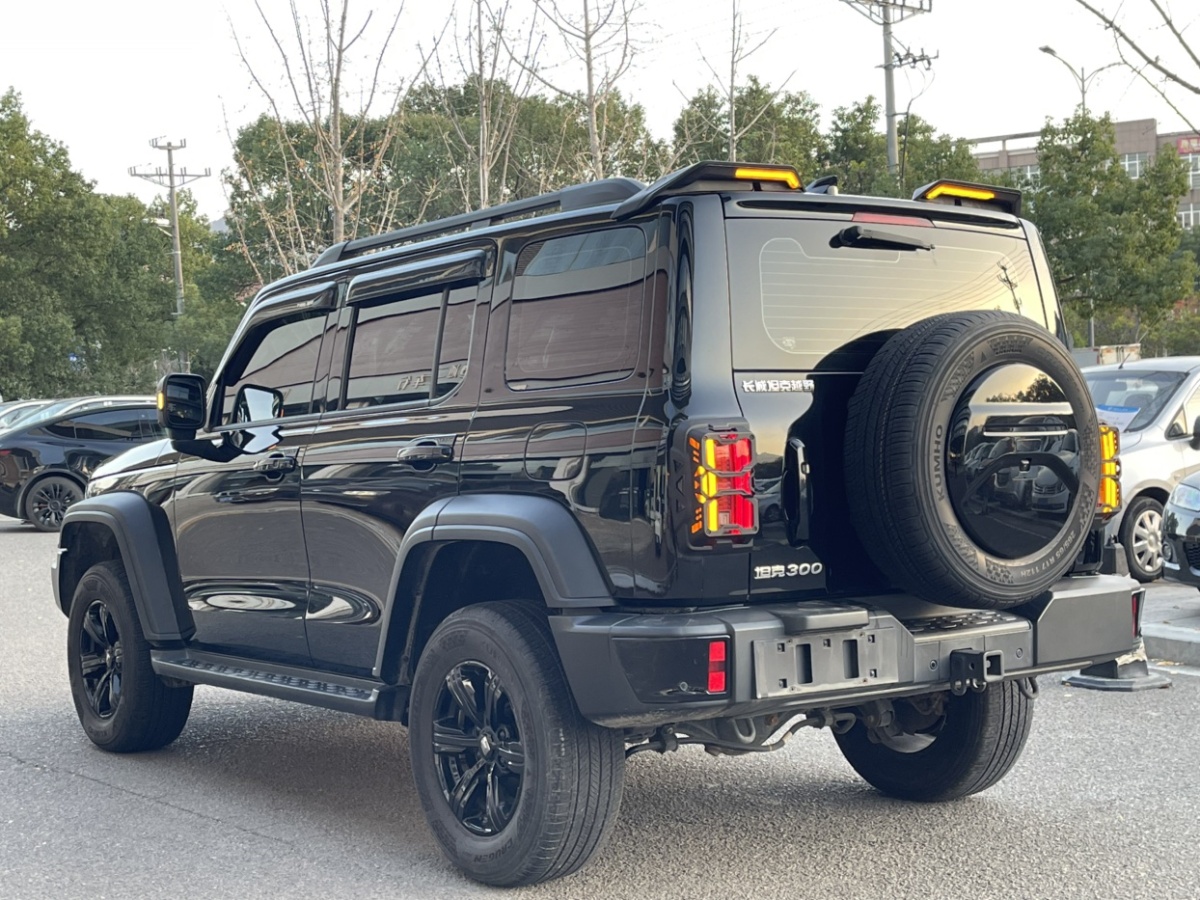 Tank 300 2023 car image #6