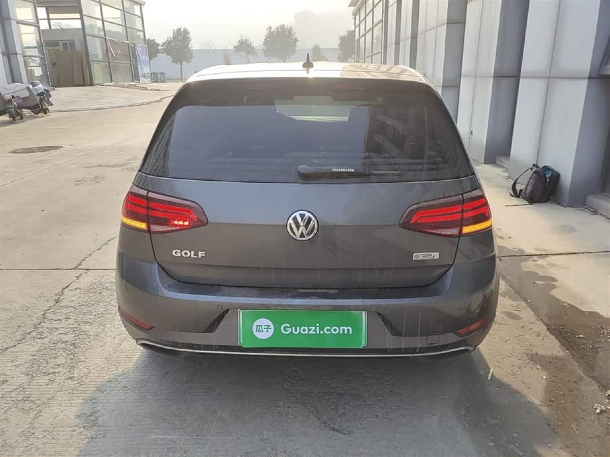 Volkswagen Golf New Energy (Imported) 2020 изображение автомобиля #6