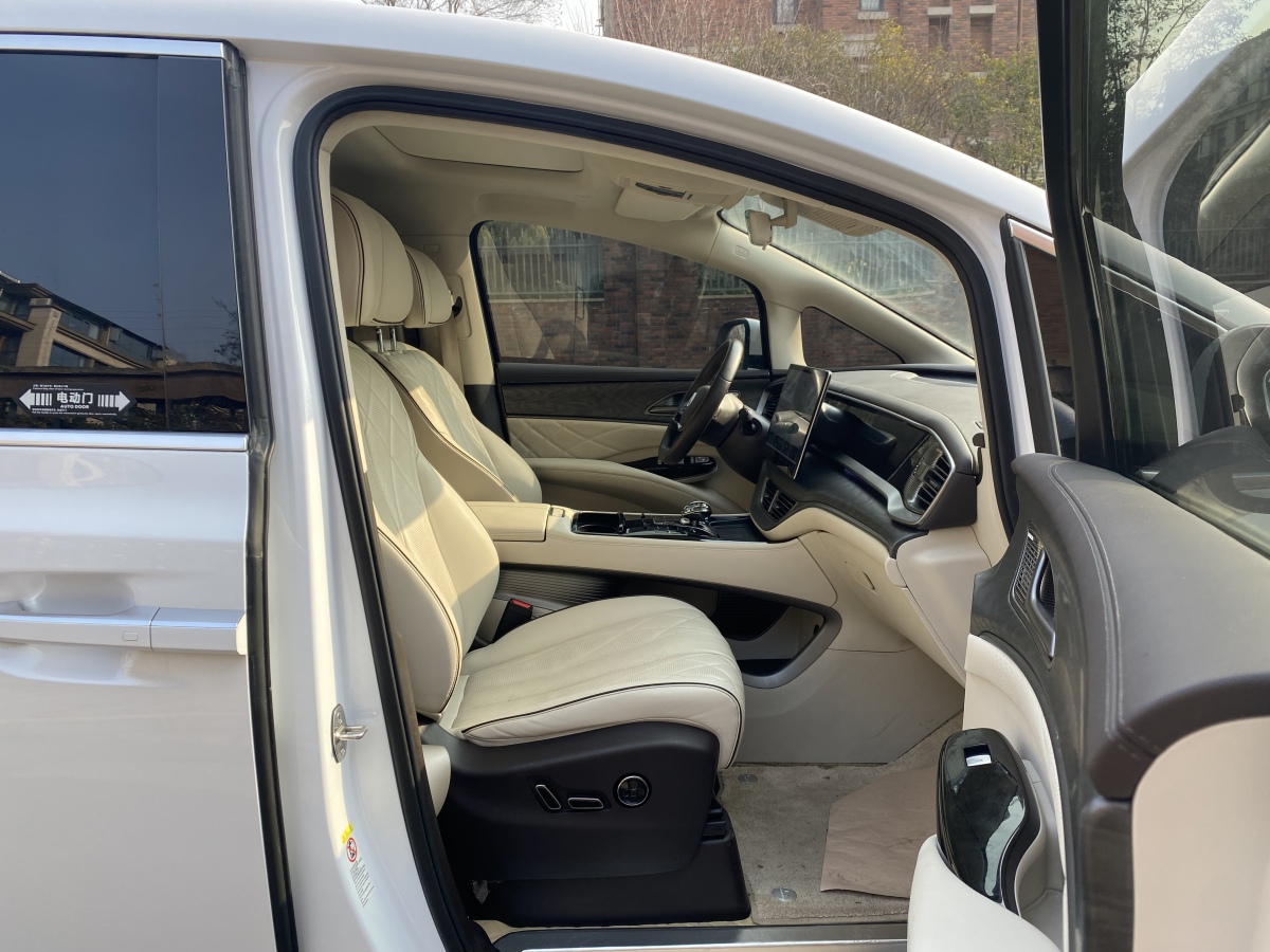 Denza D9 2024 imagen de coche #6