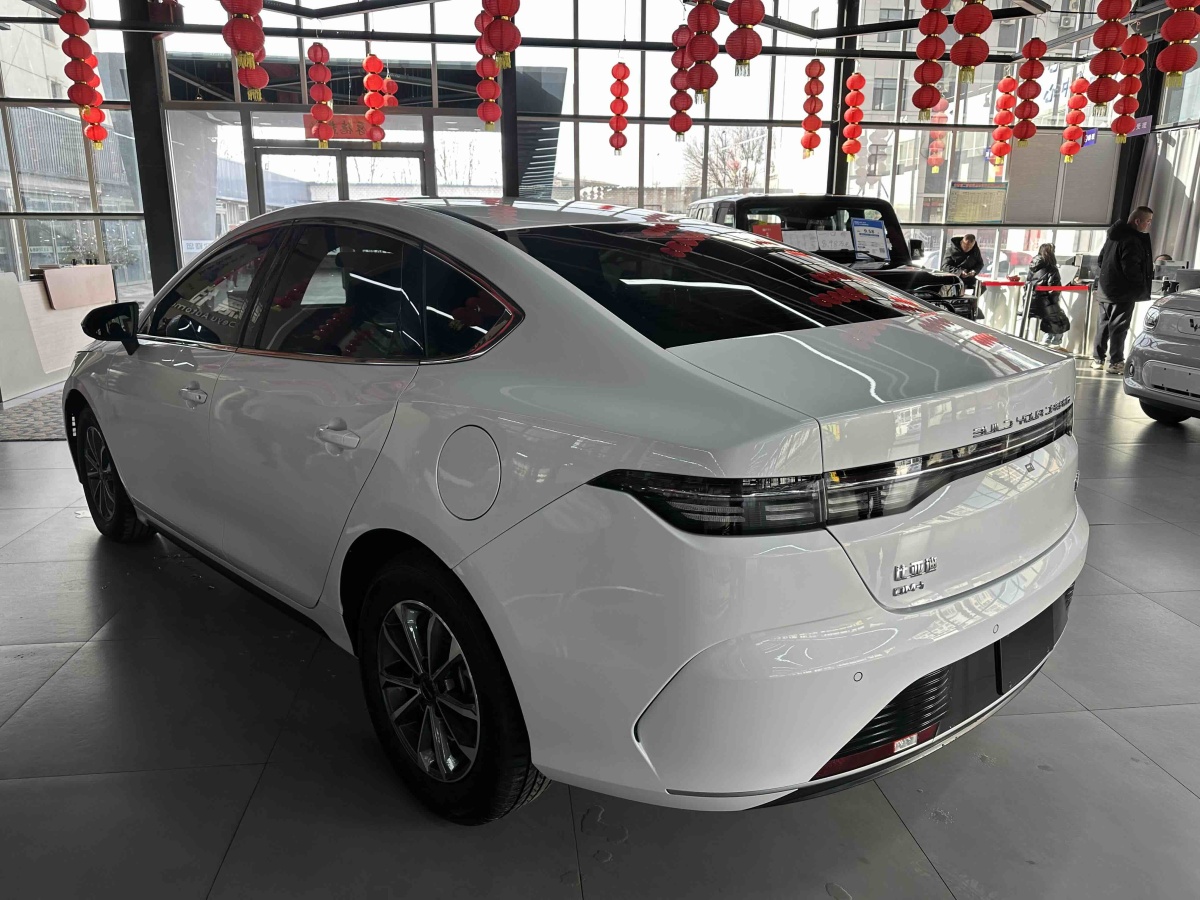 BYD Destroyer 05 2024 immagine di auto #6