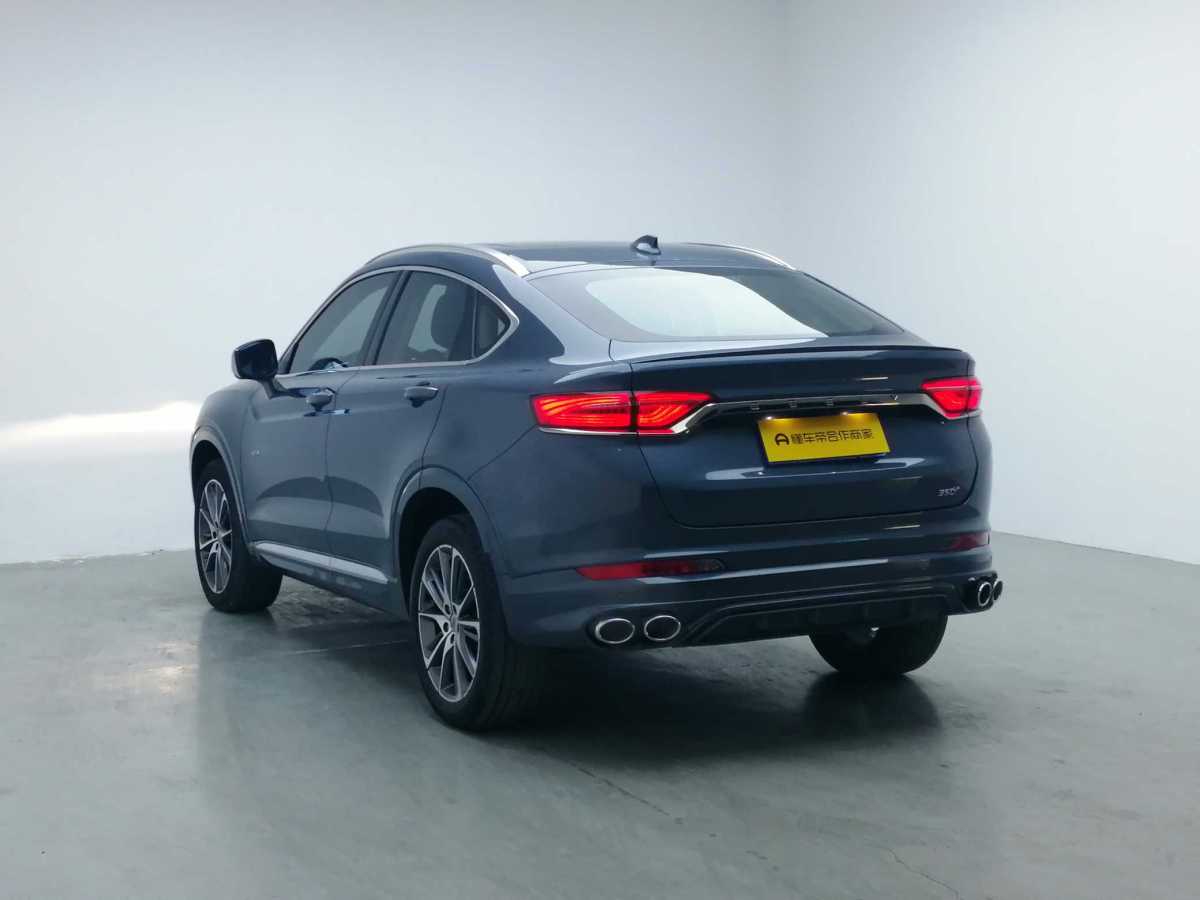 GEELY Tugella 2019 #6 GEELY Tugella 2019 car image #6