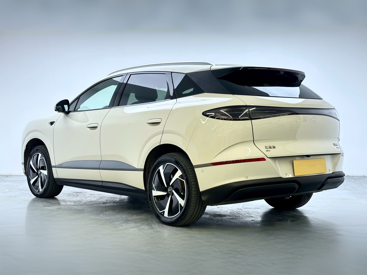 BYD Sea Lion 06 New Energy 2025 car image #6