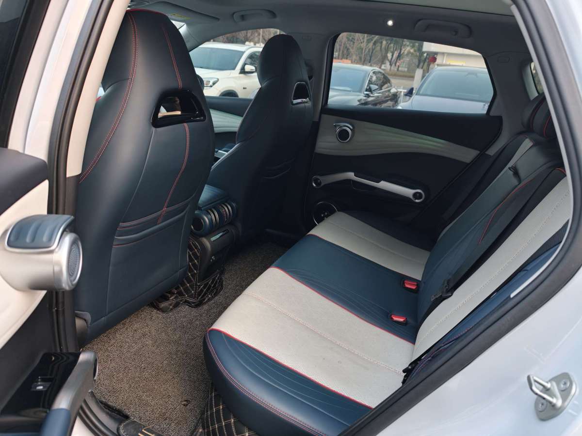 BYD Yuan Plus 2022 car image #6
