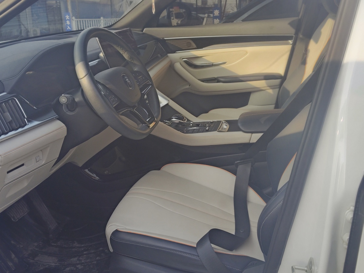 BYD Song Plus New Energy 2022 #6 BYD Song Plus New Energy 2022 car image #6