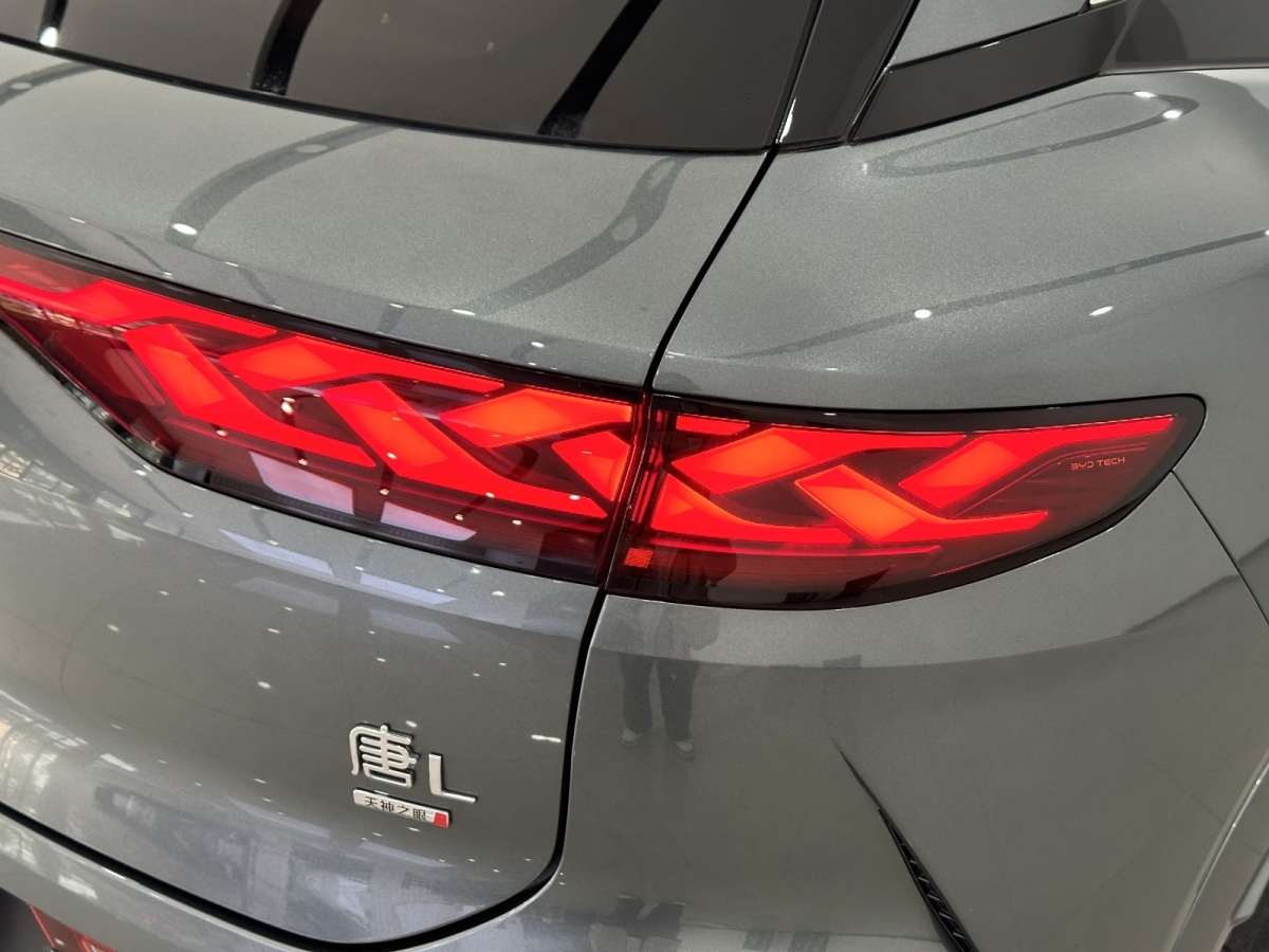 BYD Tang L 2025 car image #6