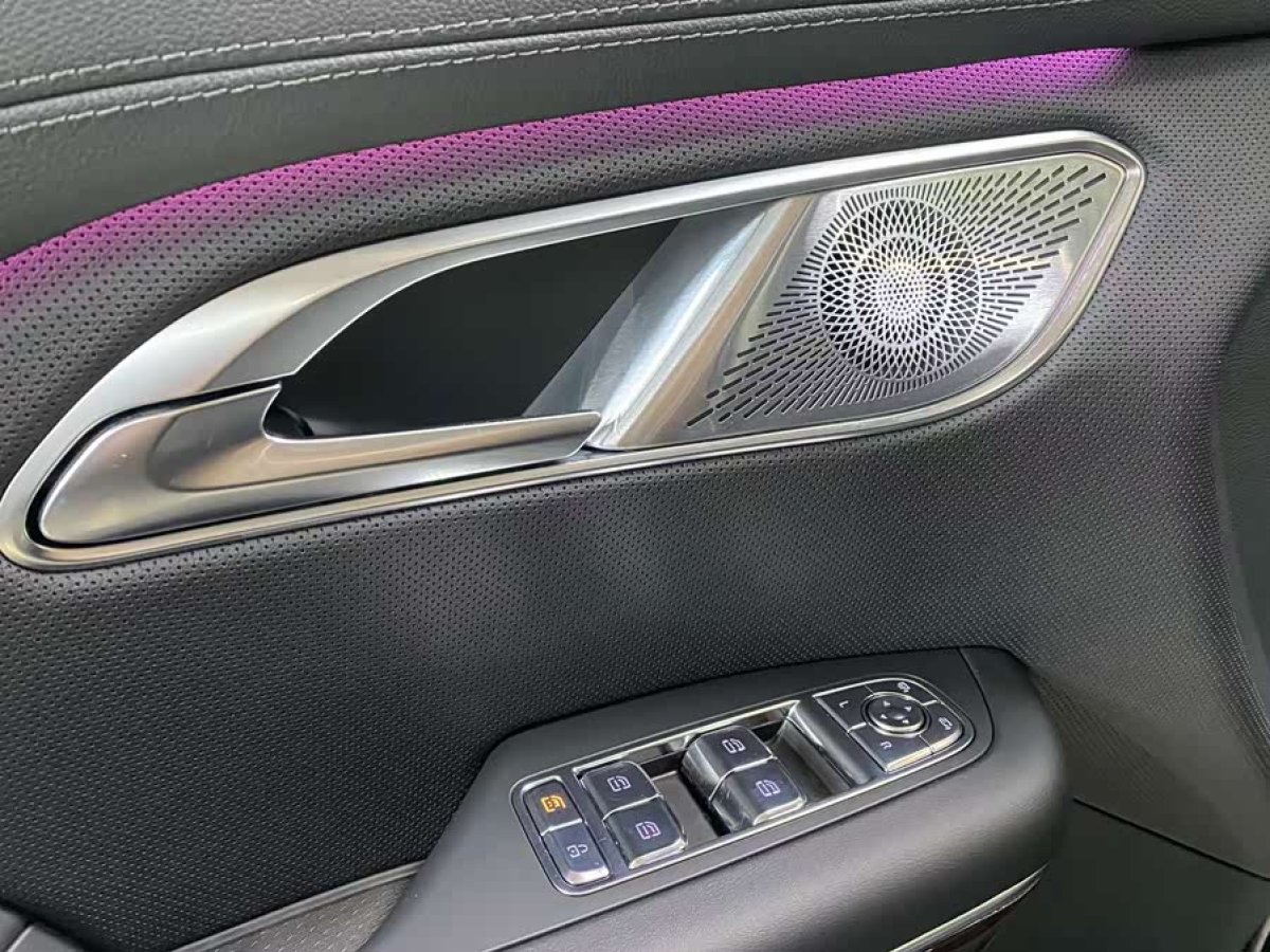 HongQi HQ9 PHEV 2024 #6 HongQi HQ9 PHEV 2024 car image #6