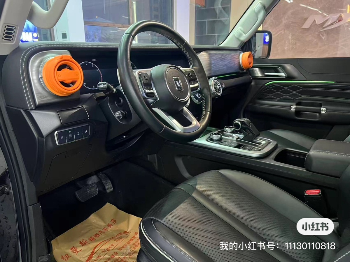 Tank 300 2022 car image #6