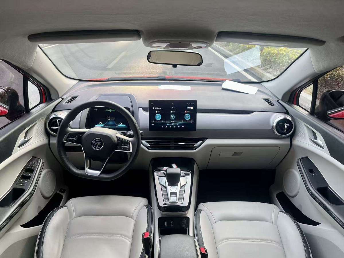 BYD Yuan Pro 2021 immagine di auto #6