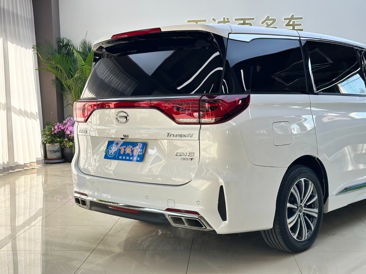 GAC Trumpchi GS8 2020 #6 GAC Trumpchi GS8 2020 car image #6