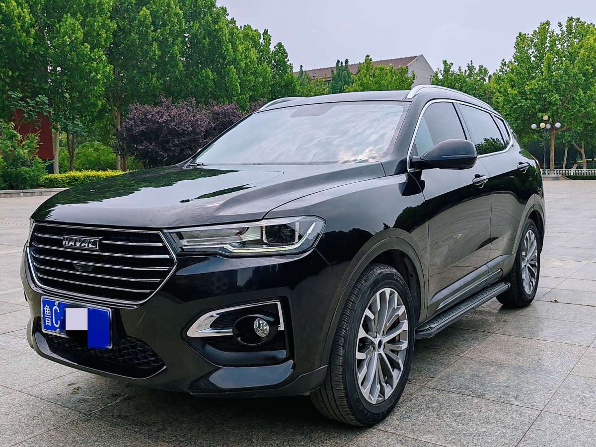 Haval 2019 car image #6
