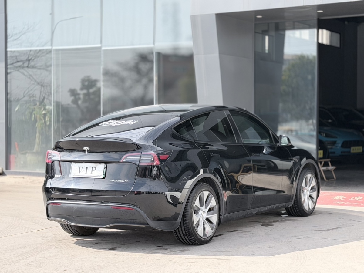 Tesla Model Y 2023 car image #6