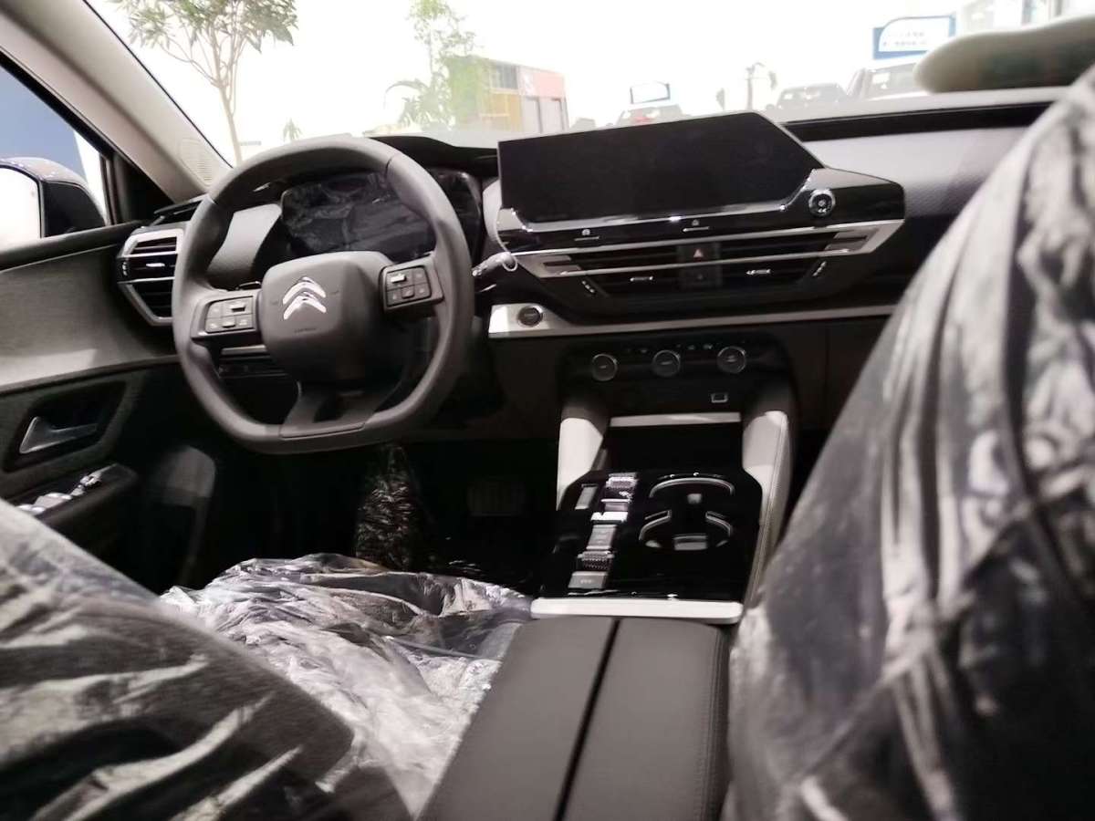 Citroen C5 X imagem de carro #6