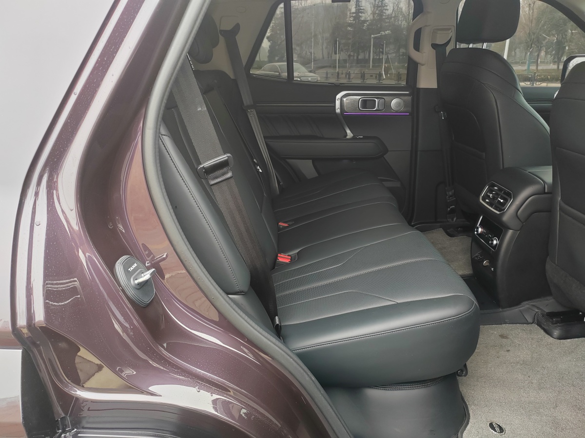 Tank 400 New Energy 2025 car image #6